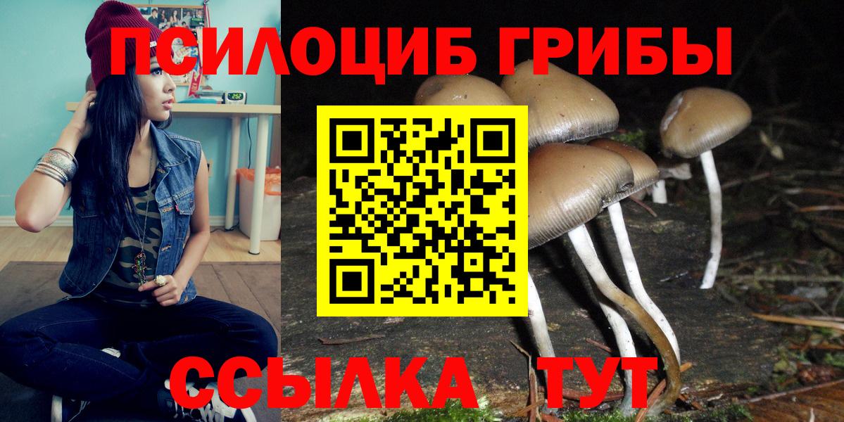 Богородицк  Псилоцибиновые грибы мухоморы  Вход с VPN 